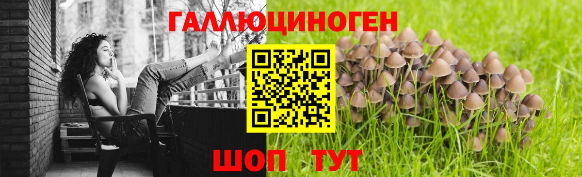 Псилоцибиновые грибы прущие грибы Ачхой-Мартан